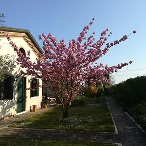 Casa Pianta Affittacamere Cavallino-Treporti